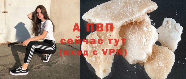 прущие грибы Кукмор