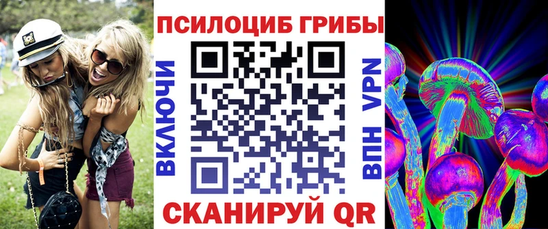 Купить где  Боровичи  Псилоцибиновые грибы MAGIC MUSHROOMS 